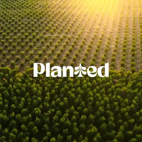 planted-baeume